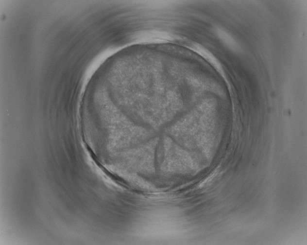 X0000071761488200607282135