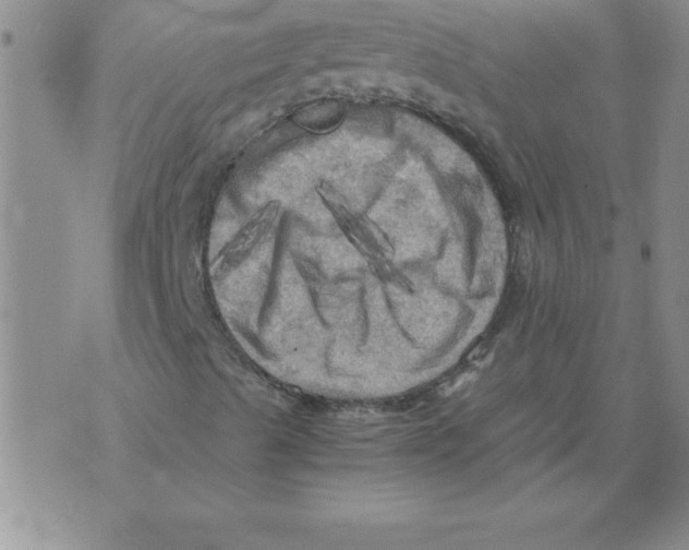 X0000071761489200607282134