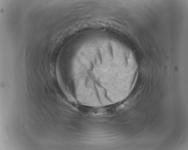 X0000071761490200607282134