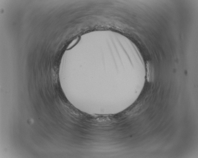 X0000071761491200607282134