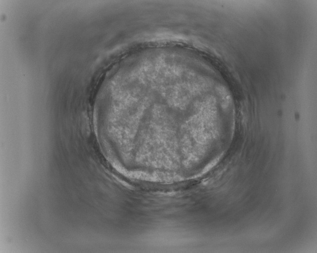 X0000071761493200607282134