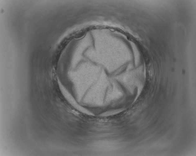 X0000071761495200607282134