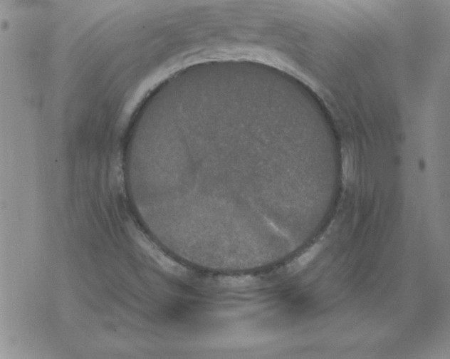 X0000071761498200607282135