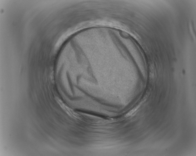 X0000071761499200607282135