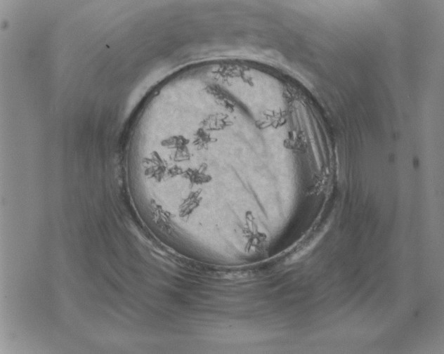 X0000071761501200607282135