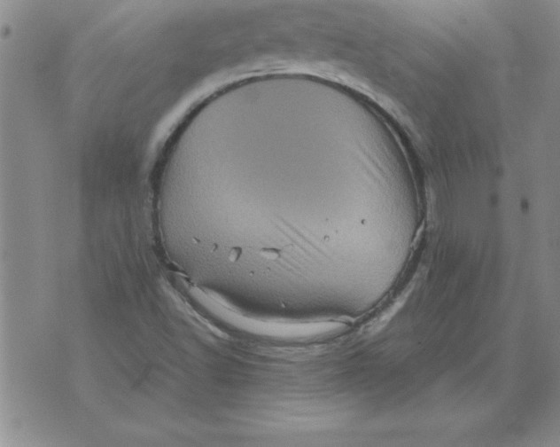 X0000071761502200607282135