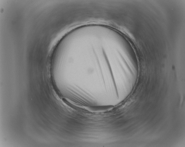 X0000071761504200607282135