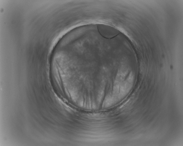 X0000071761508200607282135