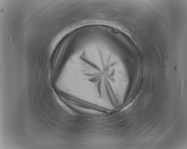 X0000071761511200607282135