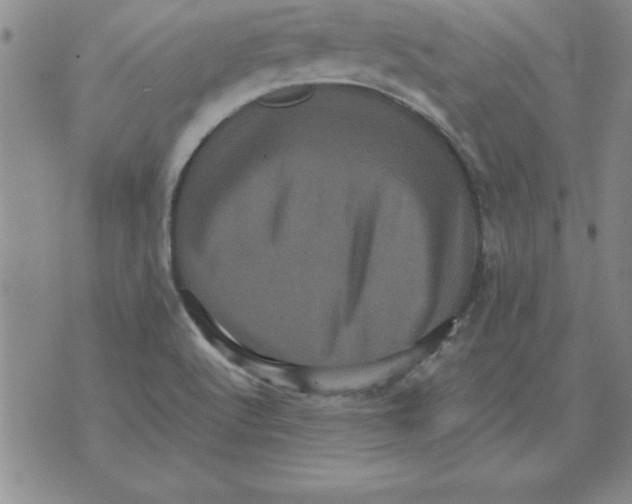 X0000071761512200607282135