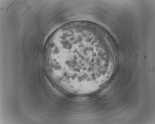 X0000071761513200607282135