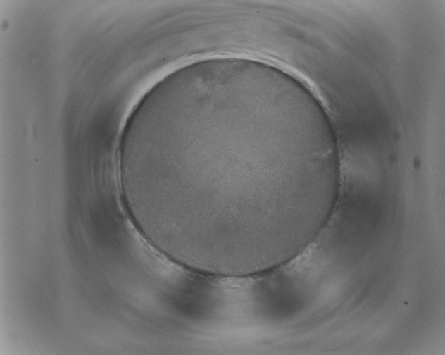 X0000071761514200607282135