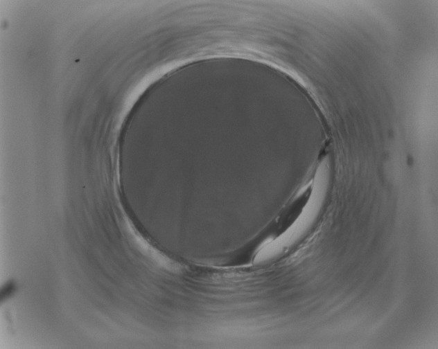 X0000071761515200607282135