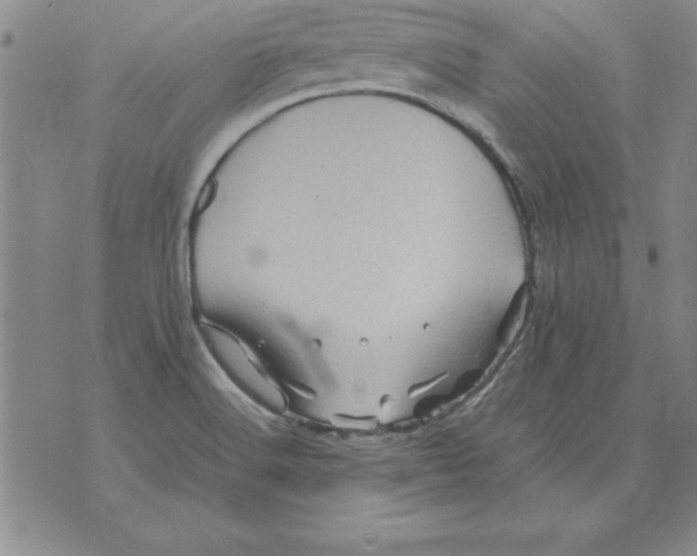 X0000071761516200607282135