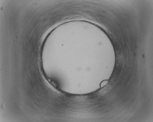 X0000071761518200607282135