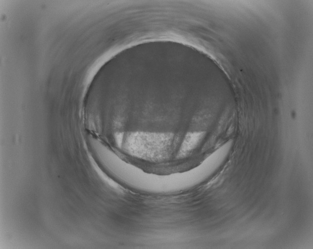 X0000071761519200607282135