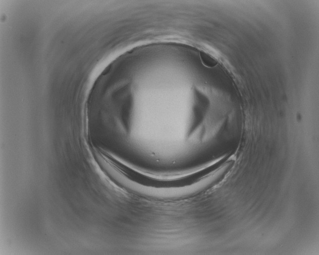 X0000071761520200607282135