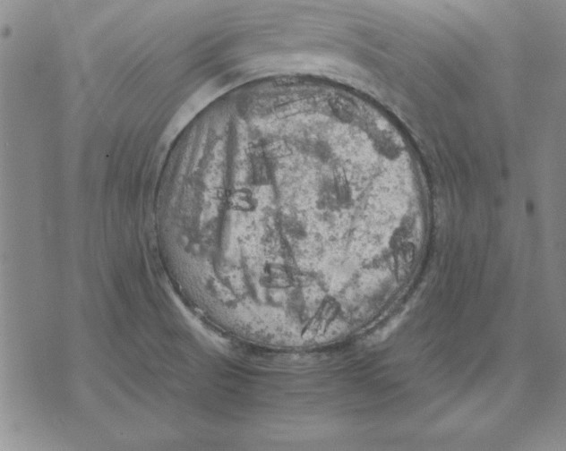 X0000071761521200607282135