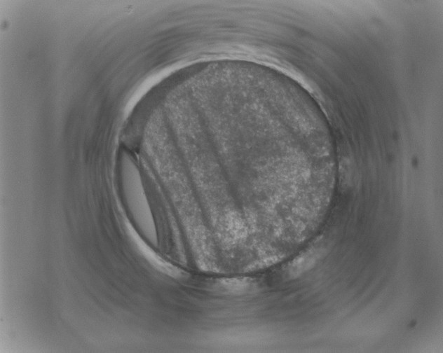 X0000071761523200607282135