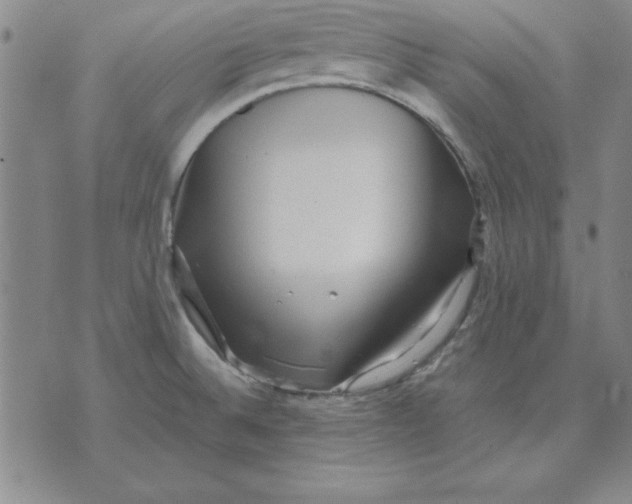 X0000071761524200607282135