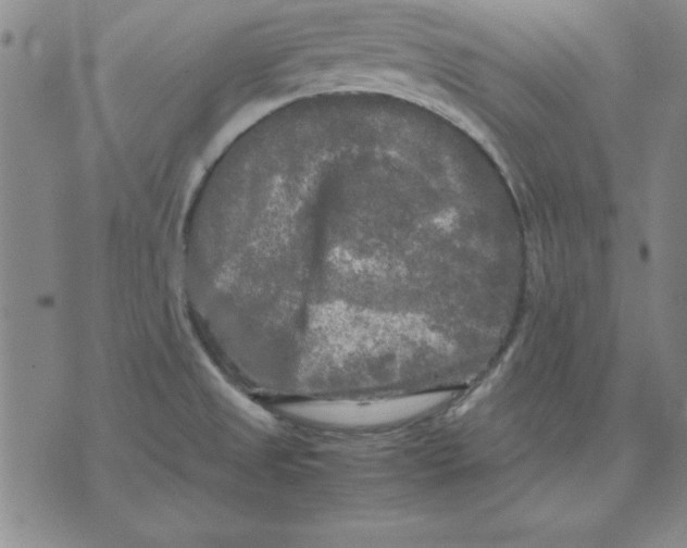 X0000071761525200607282135