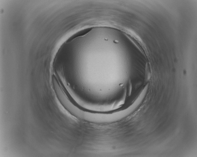 X0000071761528200607282135