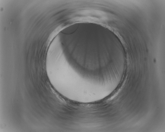 X0000071761529200607282135