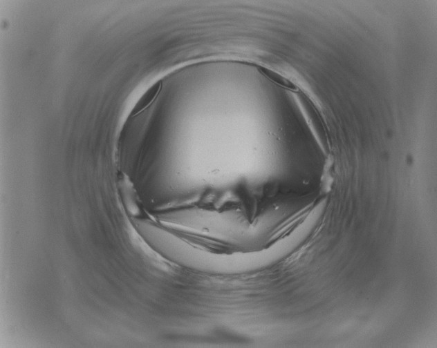 X0000071761532200607282135