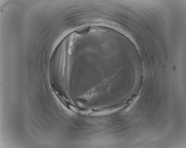 X0000071761533200607282135