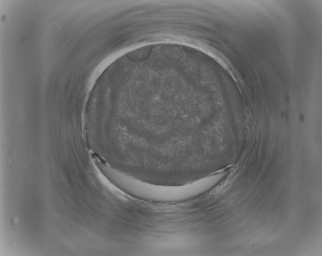 X0000071761535200607282135