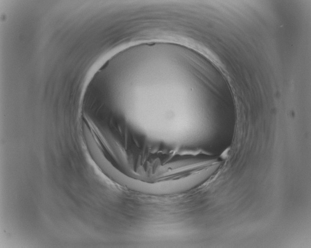 X0000071761536200607282135