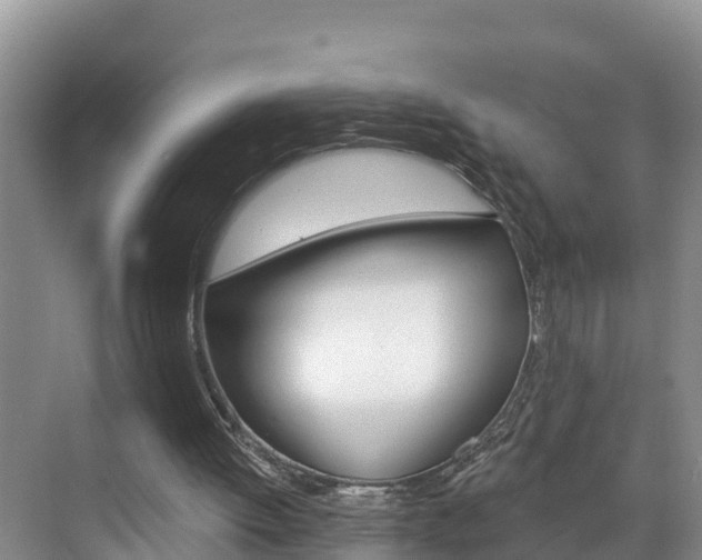 X0000071770052200606300952