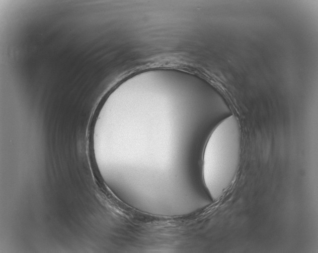 X0000071770100200606300952