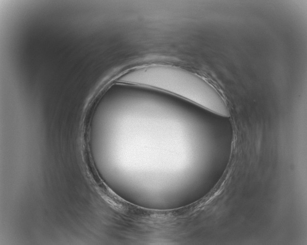 X0000071770101200606300952