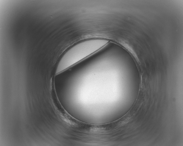 X0000071770109200606300952
