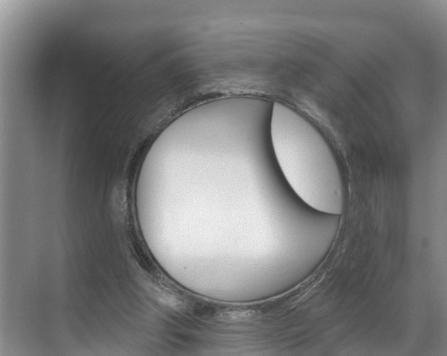 X0000071770202200606300950