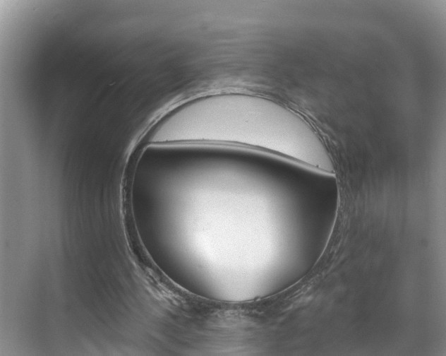 X0000071770244200606300949