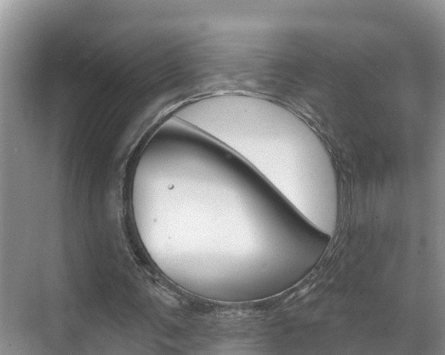 X0000071770291200606300949