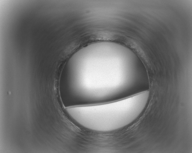X0000071770305200606300948