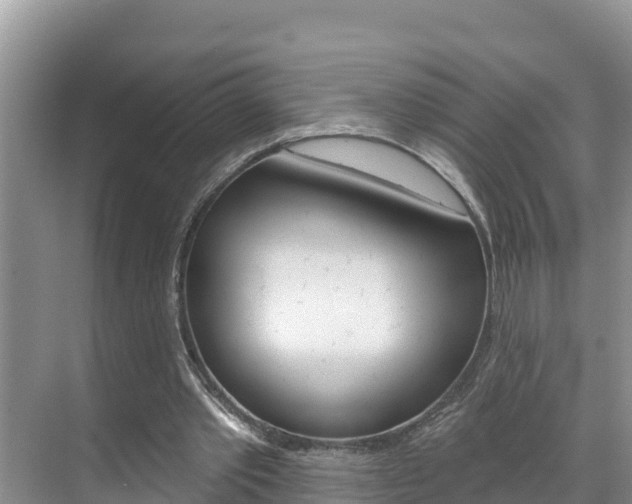 X0000071770389200606300947