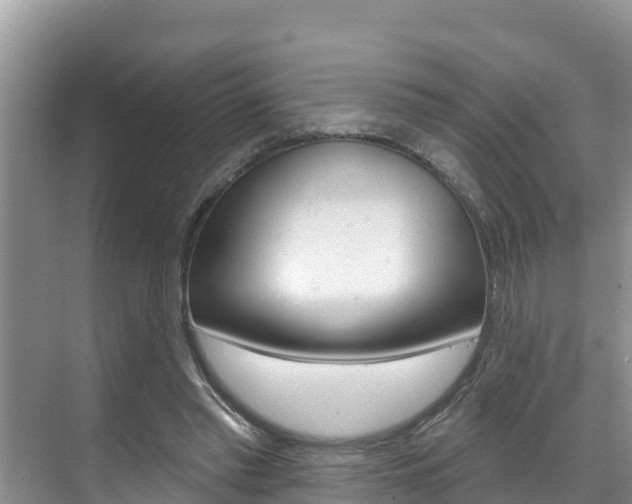 X0000071770397200606300947
