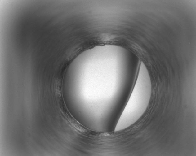 X0000071770421200606300946