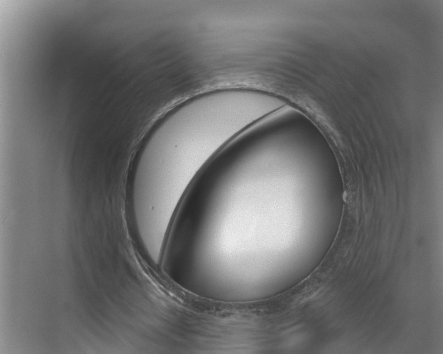 X0000071770434200606300945