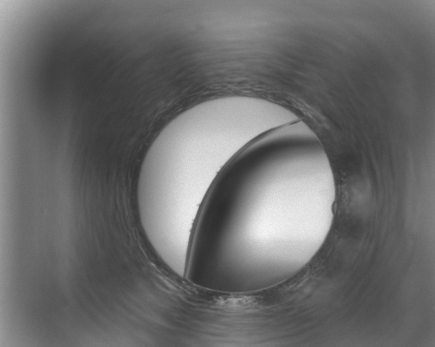 X0000071770517200606300945