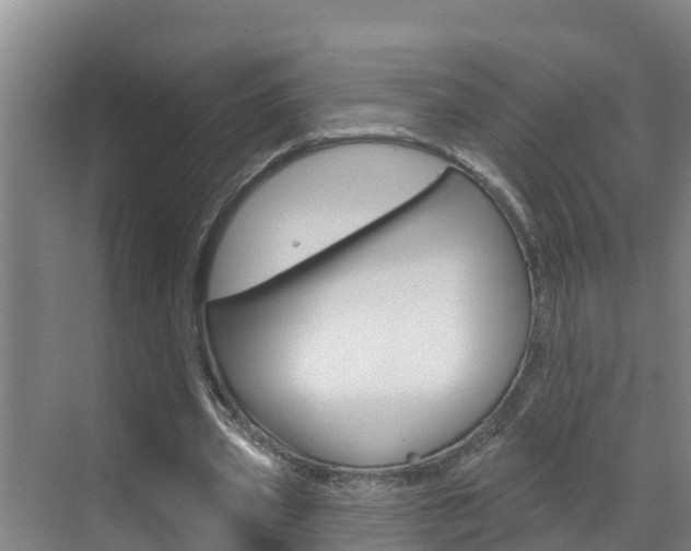 X0000071770533200606300944