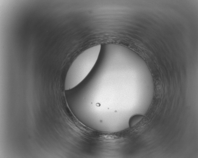X0000071770654200606300943