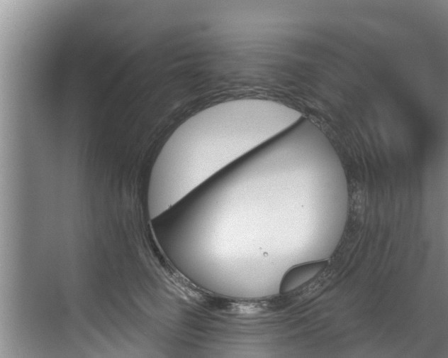 X0000071770662200606300943
