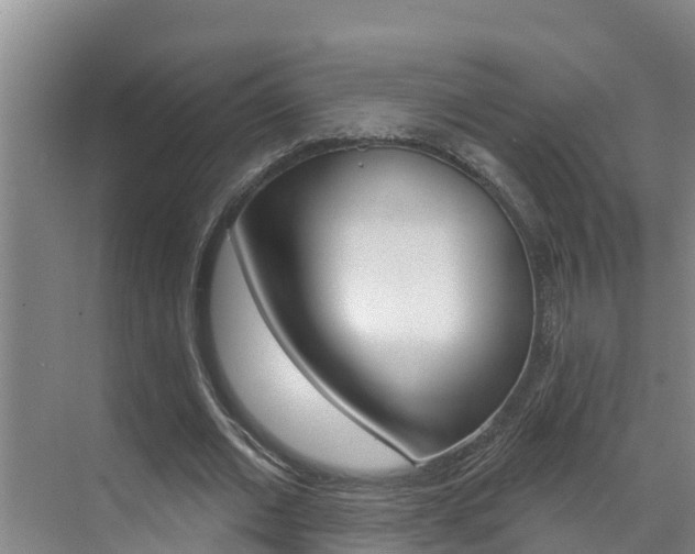 X0000071770677200606300942