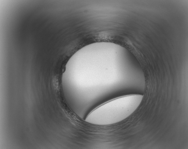 X0000071770715200606300942