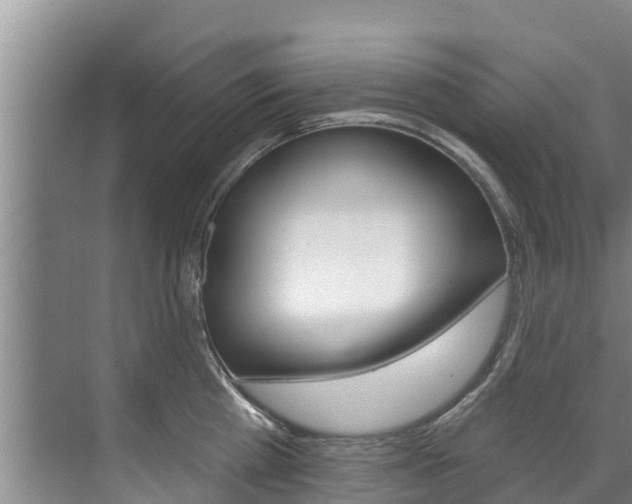 X0000071770809200606300940